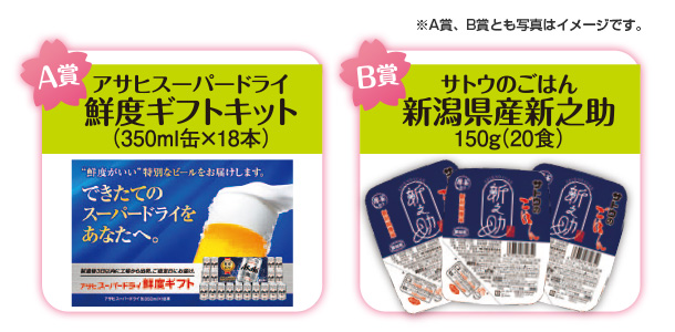 A賞:アサヒスーパードライ 鮮度ギフトキット(350ml缶×18本) B賞:サトウのごはん 新潟県産新之助 150g(20食)※A賞、B賞とも写真はイメージです。 A賞:アサヒスーパードライ 鮮度ギフトキット(350ml缶×18本) B賞:サトウのごはん 新潟県産新之助 150g(20食)※A賞、B賞とも写真はイメージです。