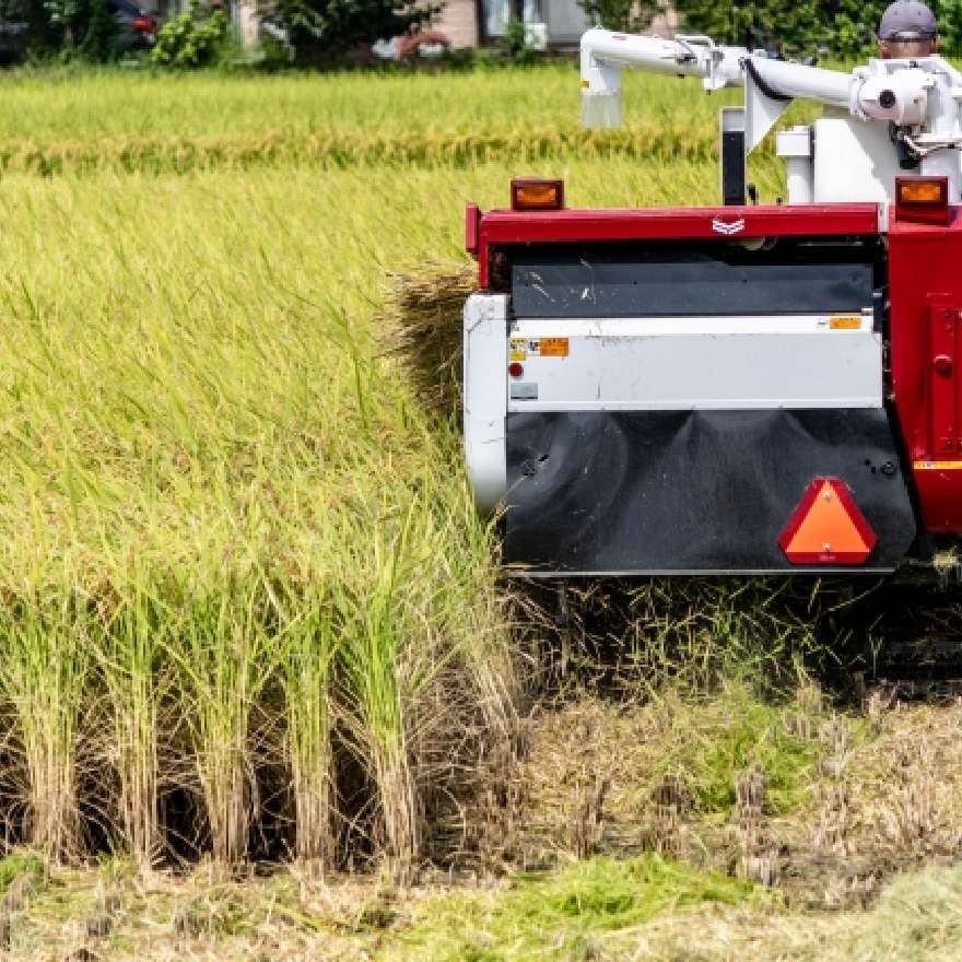 原材料のイメージ画像