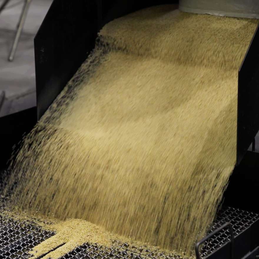 精米のイメージ画像