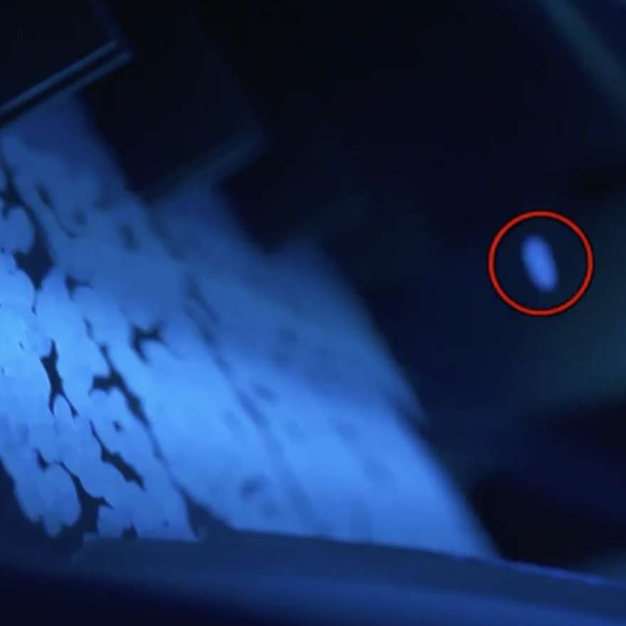 選別のイメージ画像