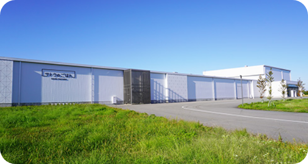 2019年の歩みイメージ