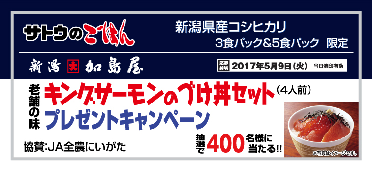 サトウ食品 キングサーモンのづけ丼セットプレゼントキャンペーン